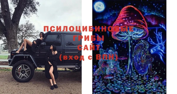 соль курить ск Богородск