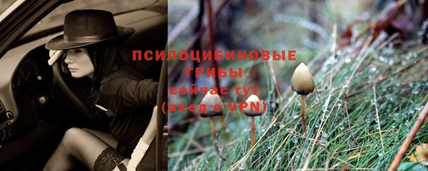 скорость Бронницы