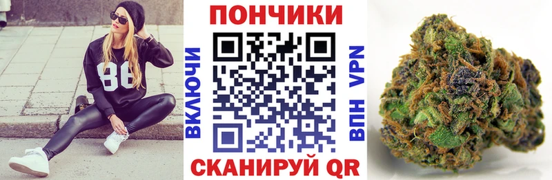 Бошки Шишки SATIVA & INDICA  мега как зайти  Иркутск  купить наркоту 